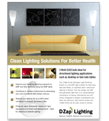 DZAP Directional Lighting Brochure